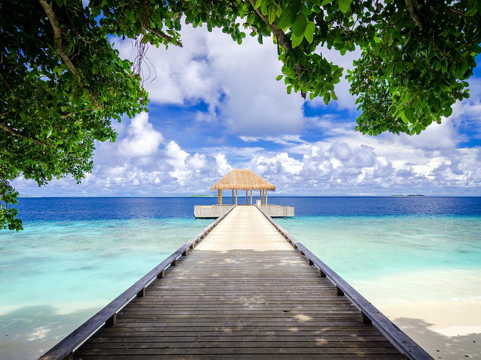 The Ocho Amilla Beach Residences - 4 Bedroom - Gallery Image 16 in Maldives