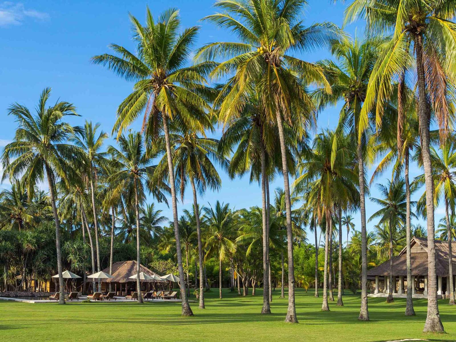 The Ocho Sira Beach House - Gallery Image 26 in Sira Beach, Lombok, Indonesia