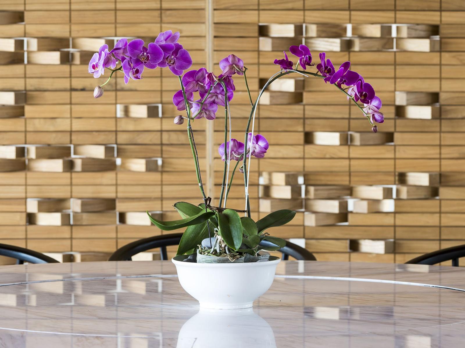 The Ocho Villa Hamsa - Gallery Image 4 in The Bukit, Bali