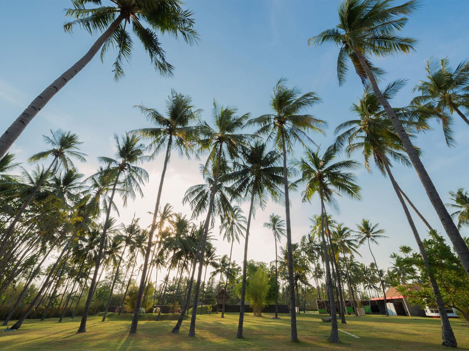 The Ocho Villa Sapi - Gallery Image 51 in Sira Beach, north-west Lombok, Indonesia
